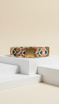 Painted Pattern Nylon Dog Collar
